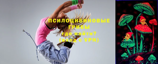 эйфоретик Медногорск