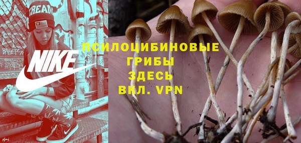 мескалин Абаза