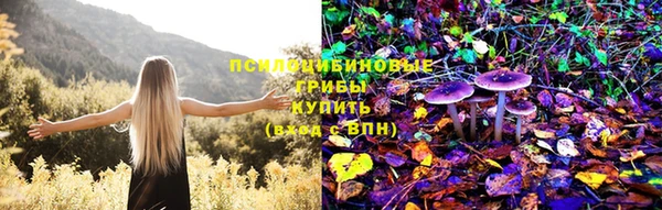 гидропоника Абдулино
