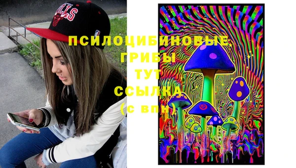 гидра Абинск