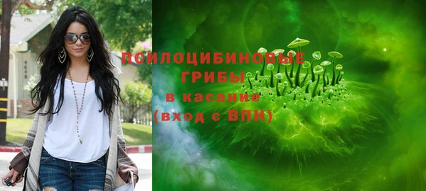 а пвп мука Алзамай