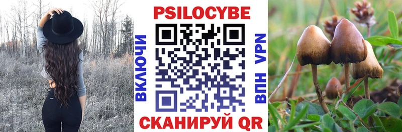 Галлюциногенные грибы Magic Shrooms  купить закладку  Юхнов 